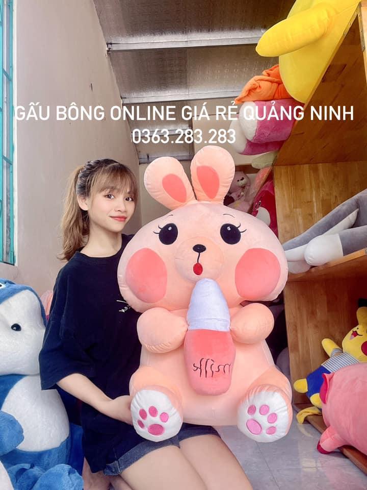 Gấu Bông Online Giá Rẻ Quảng Ninh