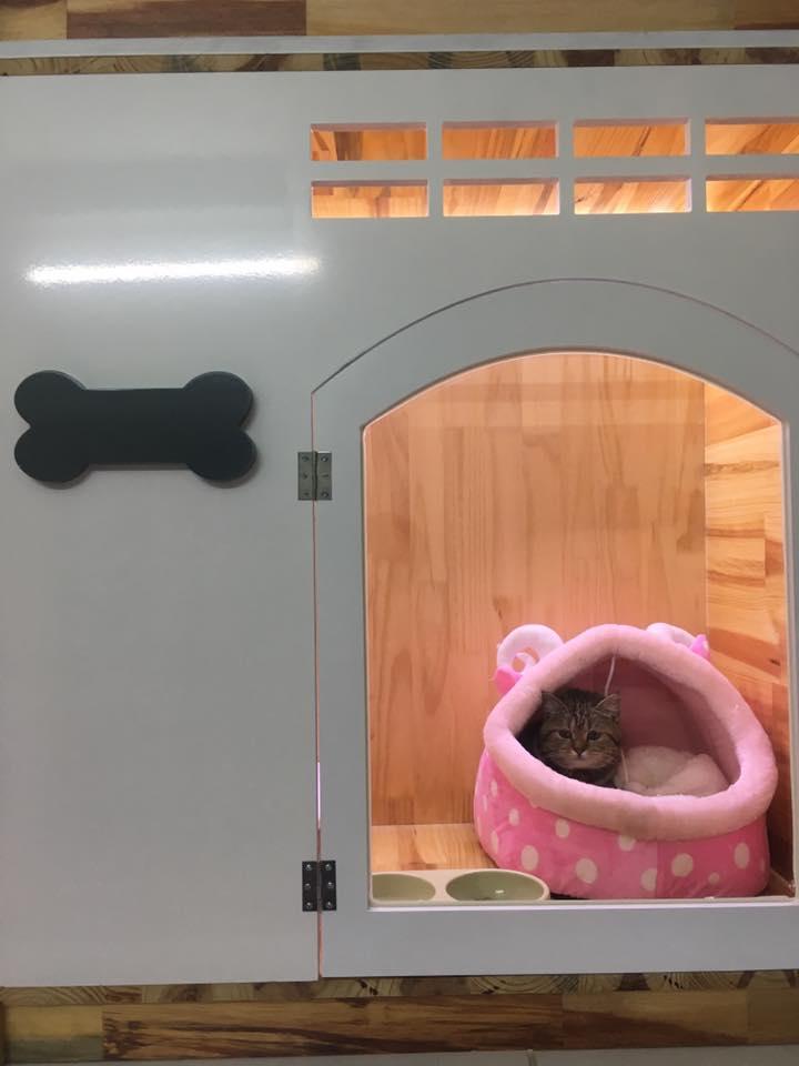 Gâu Miao Pet House