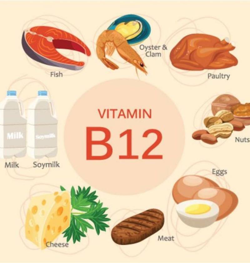 Bổ sung đủ vitamin B12 để hạn chế dị tật bẩm sinh