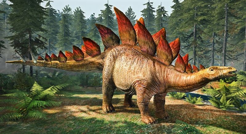 Giới thiệu chung về Khủng long vây kiếm Stegosaurus