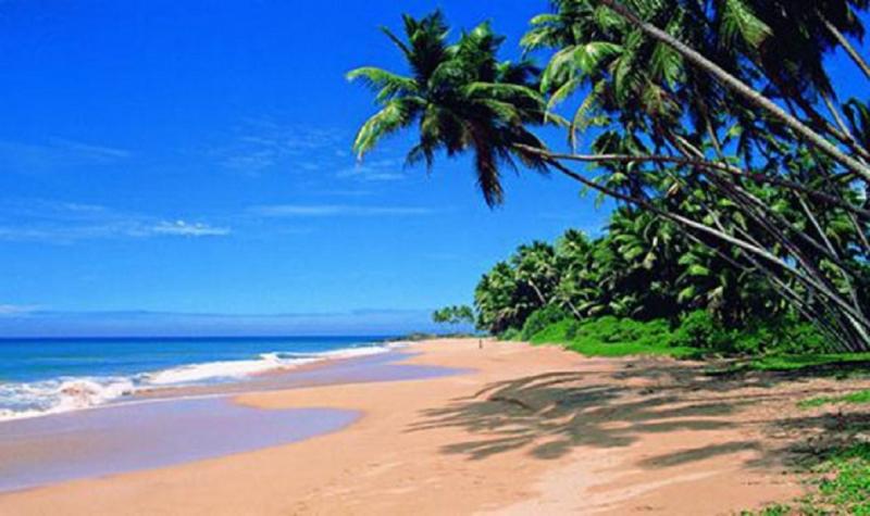 Goa - bãi biển xinh đẹp