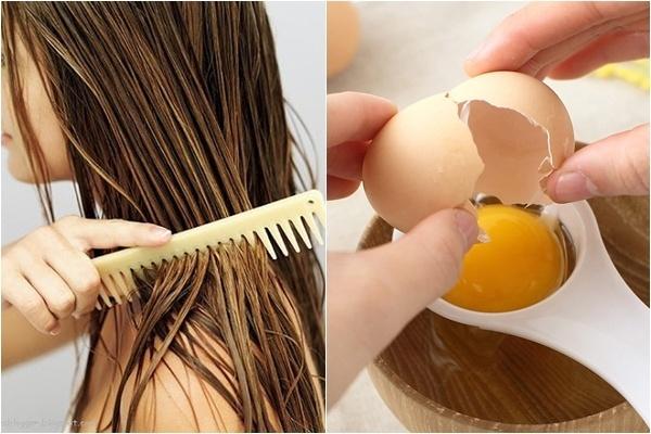Gội đầu với trứng gà giúp tóc mọc nhanh