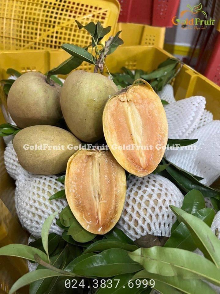 Gold Fruit - Hoa quả sạch Hà Nội