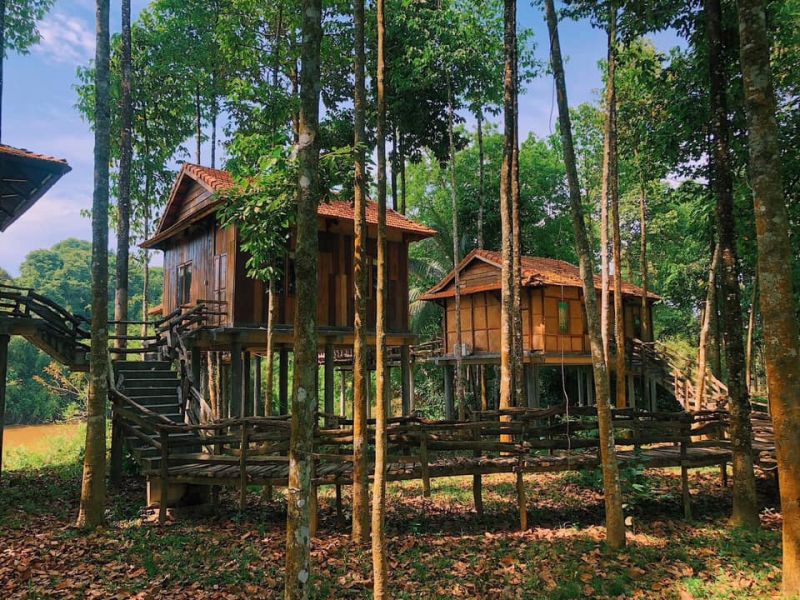 Green Bamboo Lodge .Enjoy Nature