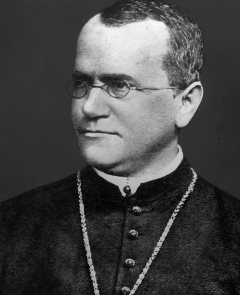 Linh mục - nhà khoa học Gregor Mendel