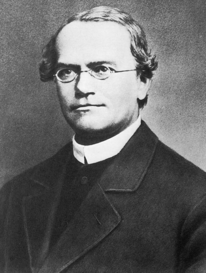 Linh mục - nhà khoa học Gregor Mendel