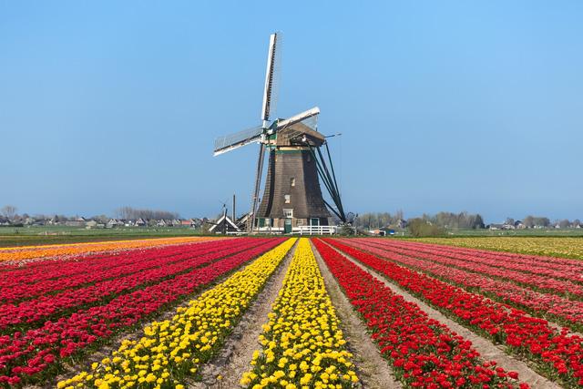 Hà Lan là nước dẫn đầu châu Âu về chỉ số chi tiêu cho y tế hàng năm