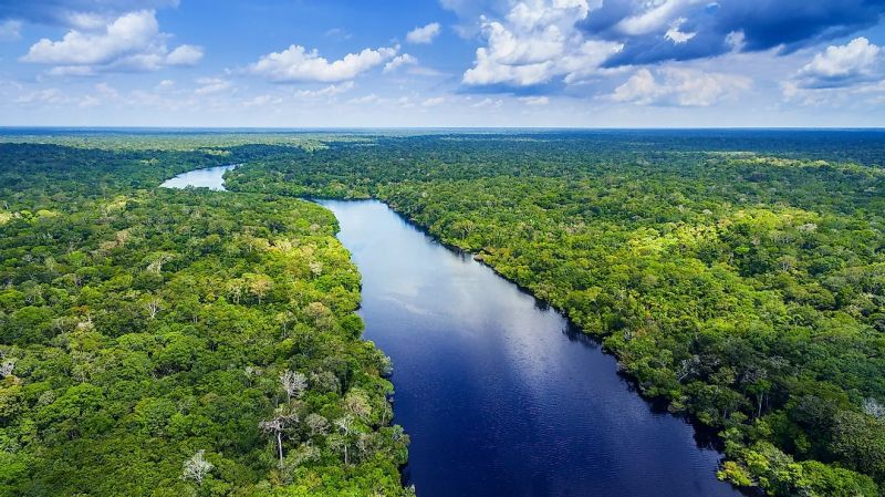 Hai phần ba rừng nhiệt đới Amazon nằm ở Brazil