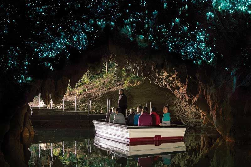 Hang động Waitomo Glowworm