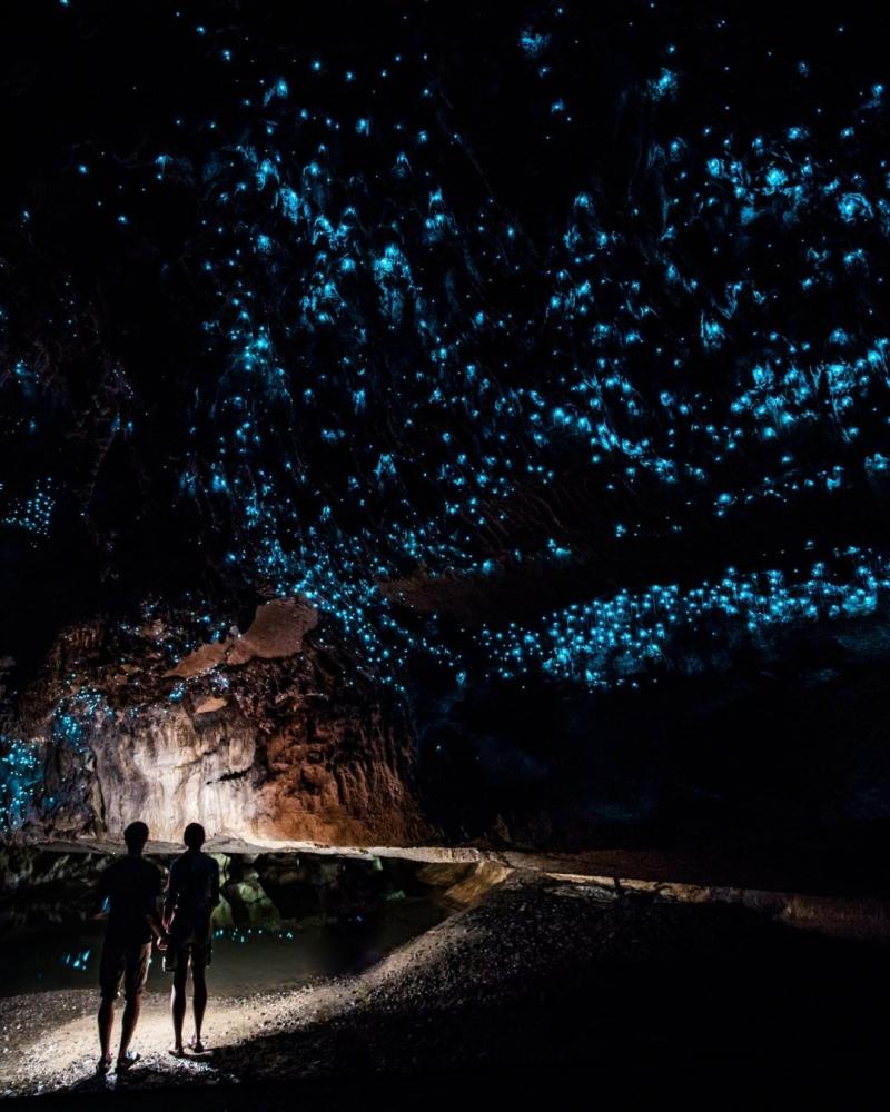 Hang động Waitomo Glowworm - Bầu trời sao huyền ảo dưới lòng đất