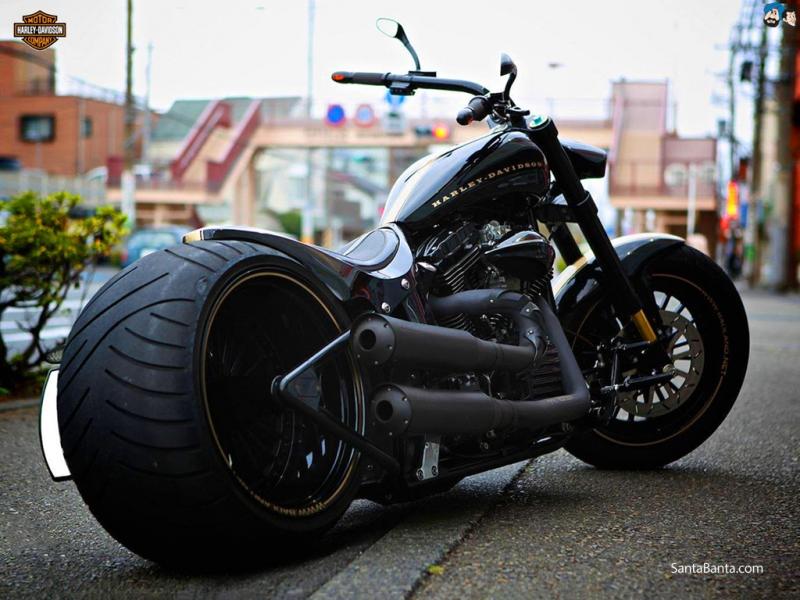 Xe của hãng Harley-Davidson