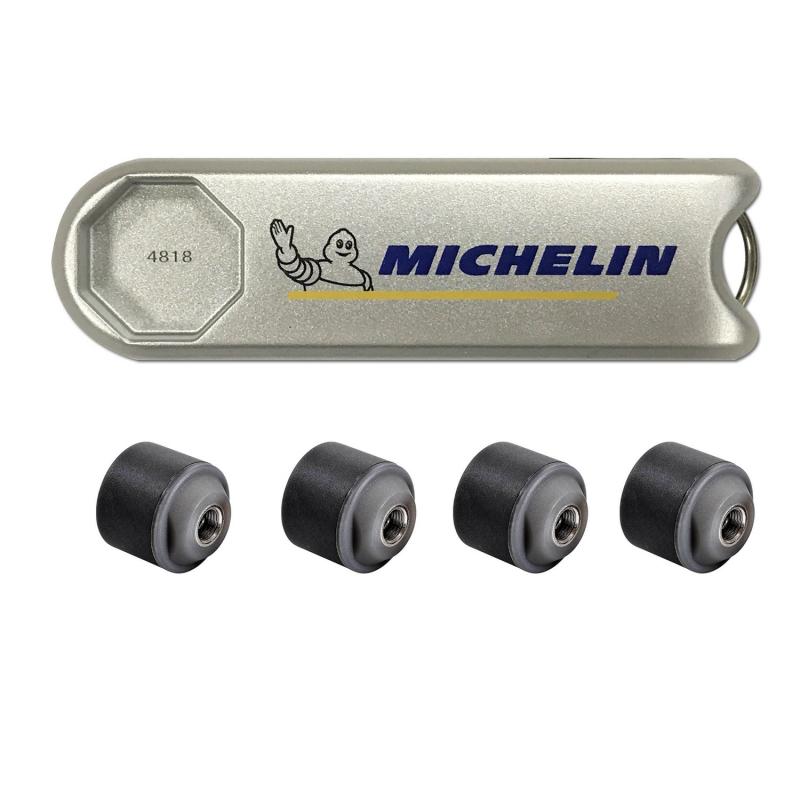 Hệ thống cảm biến đo áp suất lốp cho ô tô Michelin 4810