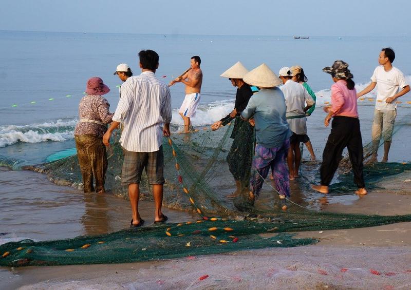 Hình ảnh ngư dân kéo chài cá