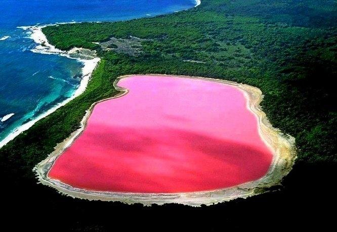 Hồ Hillier là một trong những hồ nước đặc biệt nhất trên Thế giới bởi màu hồng tự nhiên của nó.