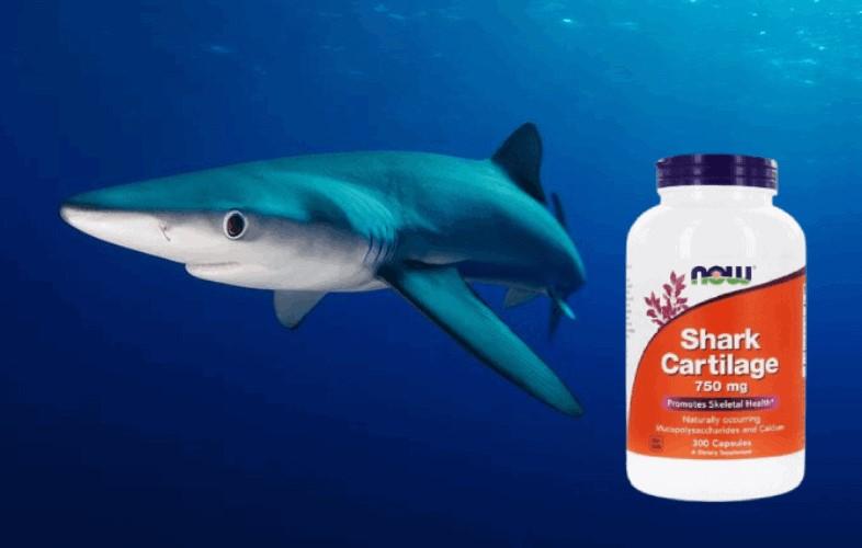 Sụn Vi Cá Mập Now Shark Cartilage Freeze Dried 750mg được sản xuất bởi Now Food, thương hiệu uy tín tại Mỹ và đã được ưa chuộng trên thị trường quốc tế suốt 40 năm qua,