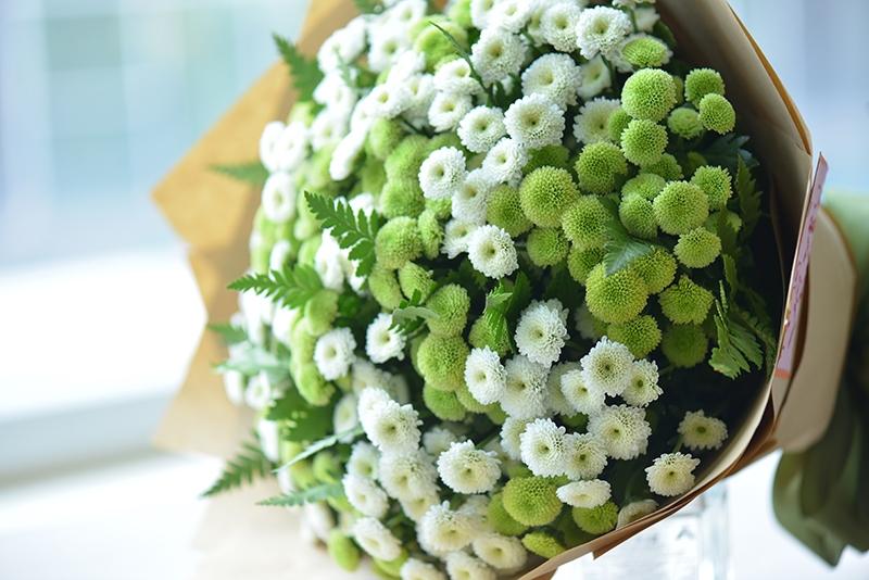 Hoa Calimero - dành tặng cô bạn thân