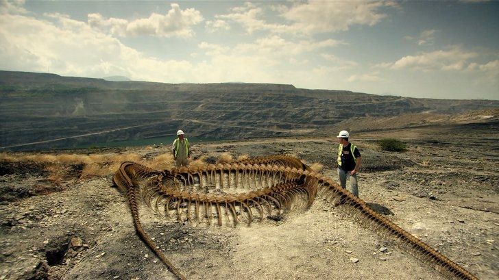 Hóa thạch rắn khổng lồ tại Colombia