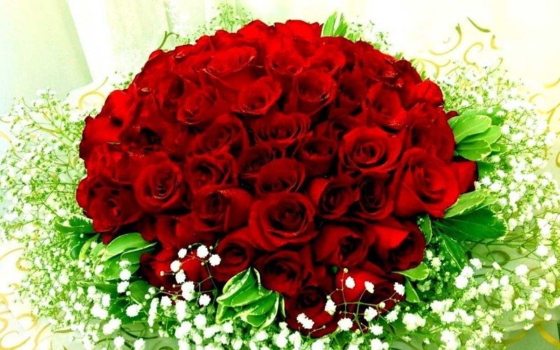 Cho dù một hay nhiều bông hồng cũng đã thể hiện được sự lãng mạn của bạn