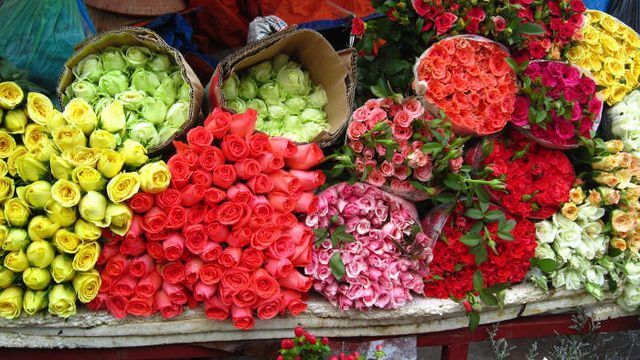 Biết cách bảo quản hoa để hoa tươi lâu