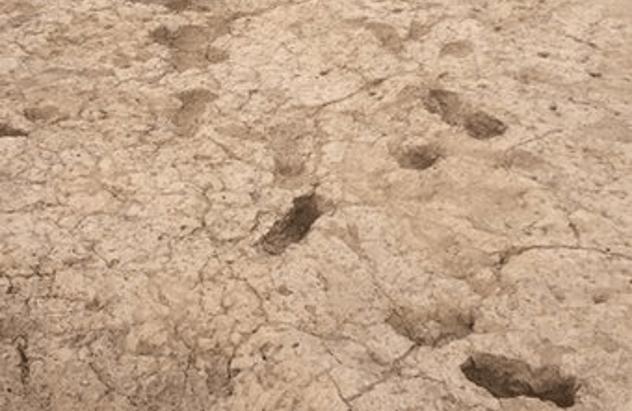 Hohokam Footprints