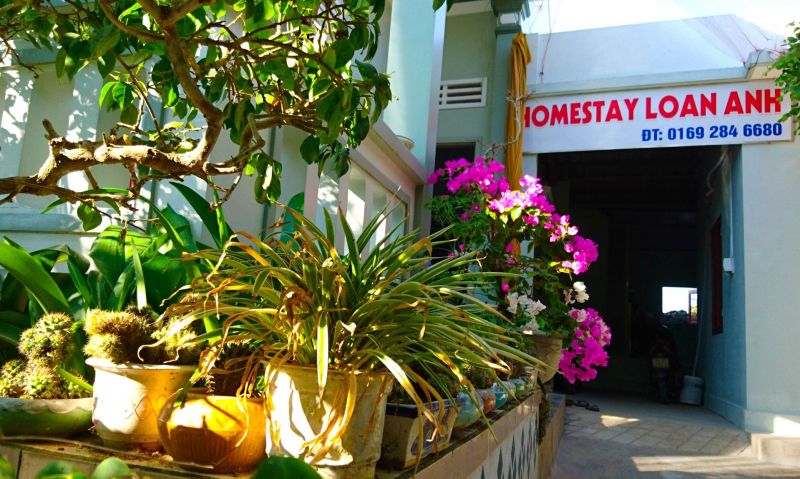 Homestay Lý Sơn - Loan Anh