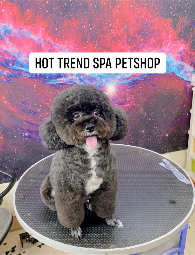 Hot Trend Spa Pet Shop