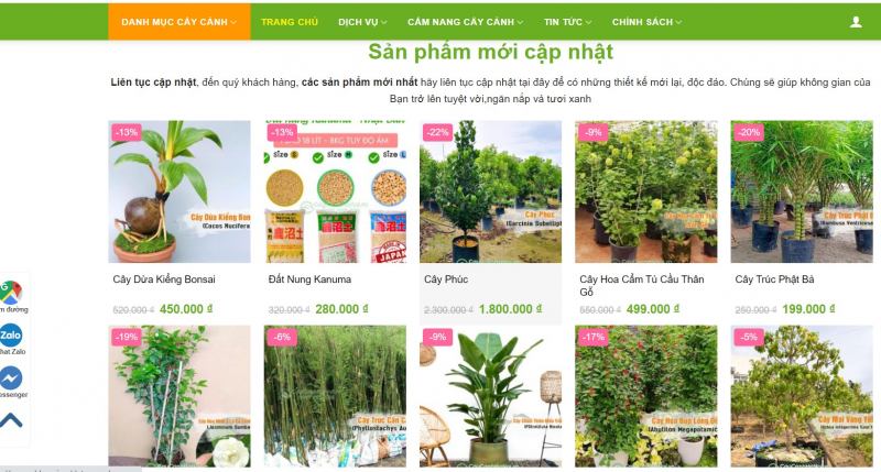 Cây cảnh Hà Nội là một nền tảng trực tuyến nơi bạn có thể tìm thấy và mua các loại cây cảnh đẹp để trang trí không gian sống của mình