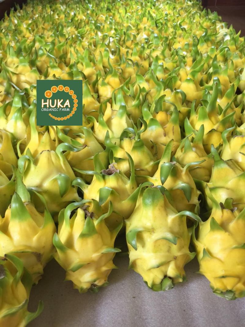 Huka Organic Farm