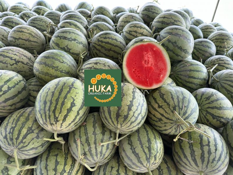 Huka Organic Farm