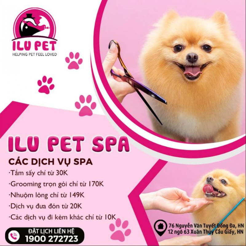 ILU Pet Shop