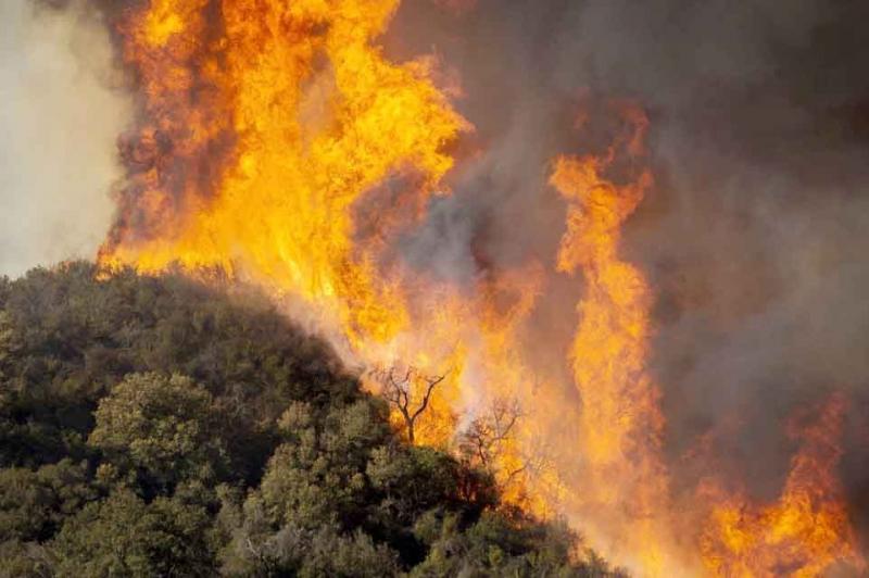 Cháy rừng ở Indonesia