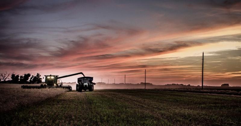 Kansas sản xuất đủ lúa mì trong một năm để nuôi tất cả mọi người trên thế giới trong hai tuần