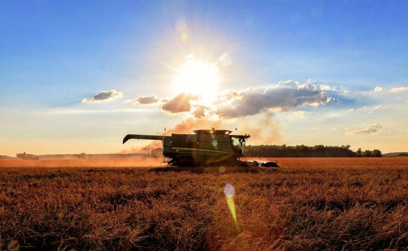 Kansas sản xuất đủ lúa mì trong một năm để nuôi tất cả mọi người trên thế giới trong hai tuần