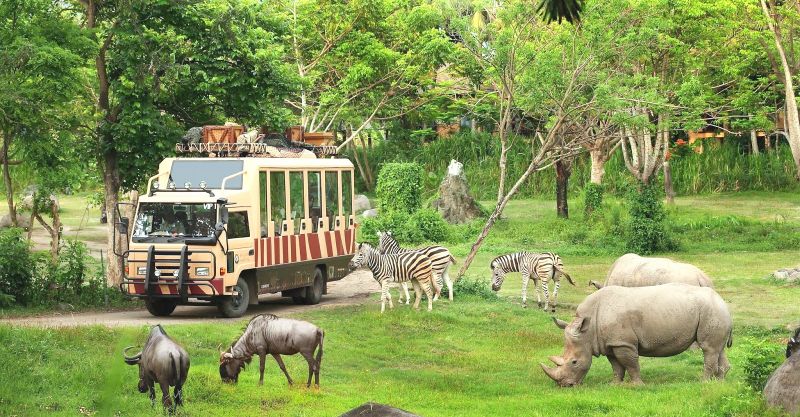 Khám phá Vinperl Safari Phú Quốc