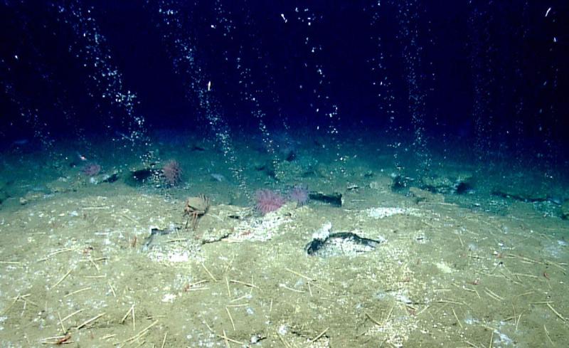 Khí metan tại Tam giác quỷ Bermuda