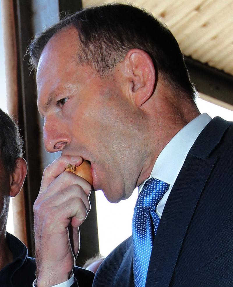 Thủ tướng Australia Tony Abbott ăn hành tây sống để nguyên vỏ.