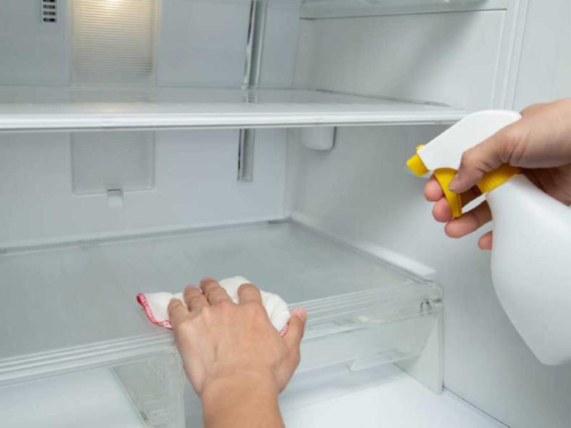 Vệ sinh tủ ở những chi tiết nhỏ và thường xuyên xịt khử mùi cho tủ lạnh
