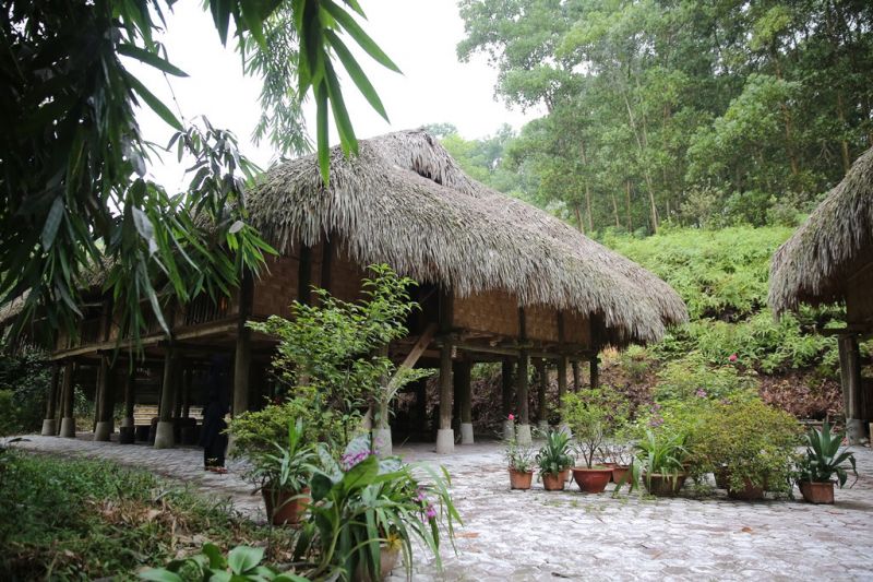 Khu bảo tồn làng nhà sàn du lịch sinh thái Thái Hải