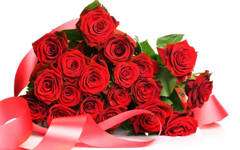 Hoa hồng tượng trưng cho ngày lễ tình nhân