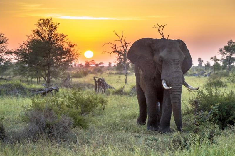 Vườn quốc gia Kruger
