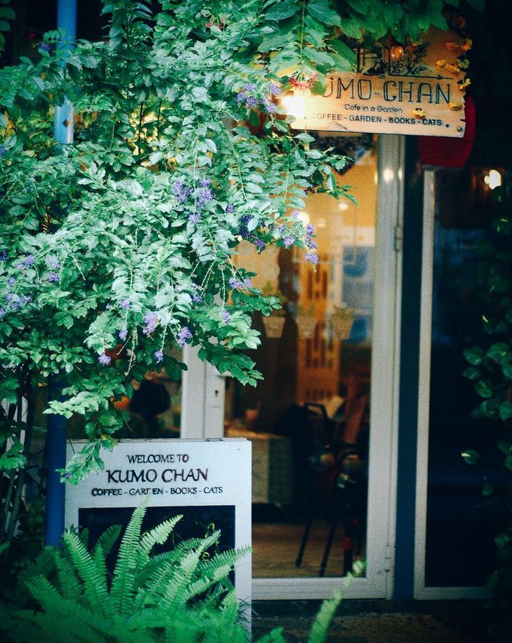Kumo Chan Coffee and Garden