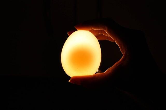 Bóng đèn quả trứng