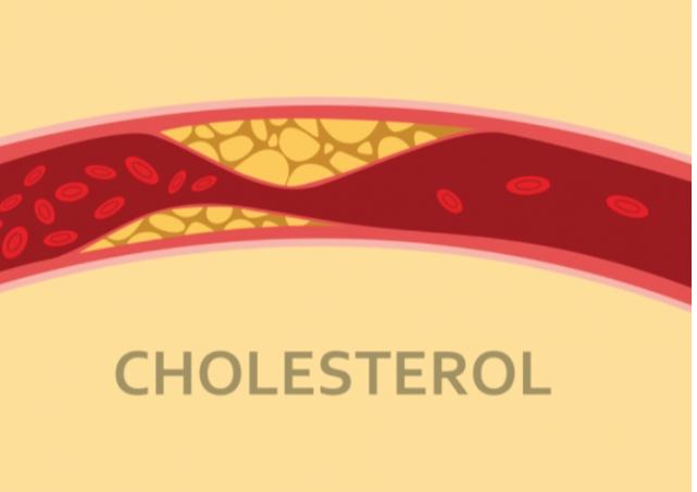 Đông trùng hạ thảo làm giảm lượng cholesterol trong máu