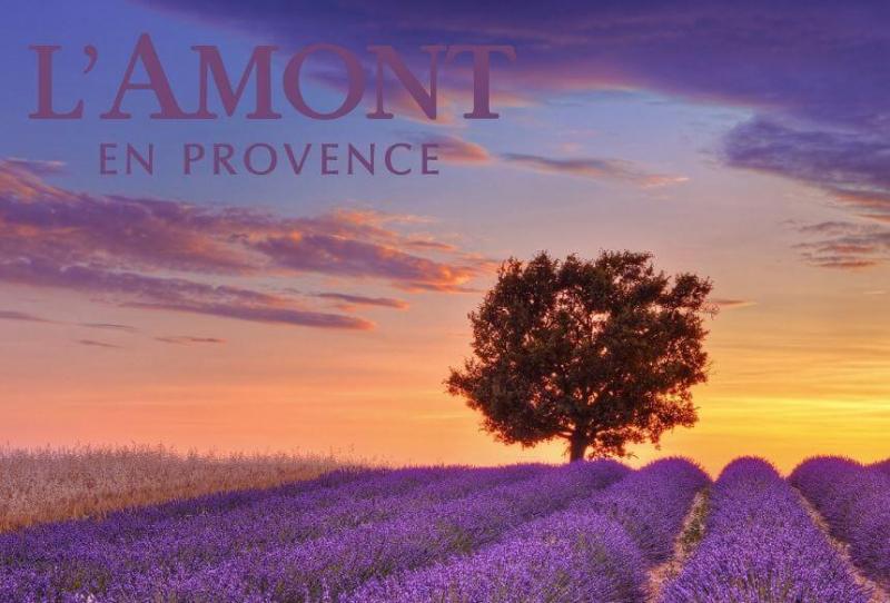L’Amont En Provence Cherry Blossom Shower Gel