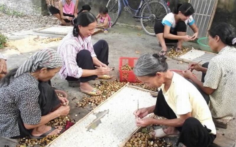 Làng nghề long nhãn Hồng Nam