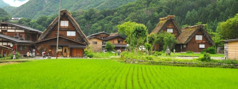 Làng Shirakawa-go với những ngôi nhà duyên dáng bên đồng lúa