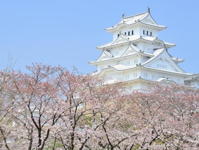 Lâu đài Himeji - Nét đẹp mê hoặc