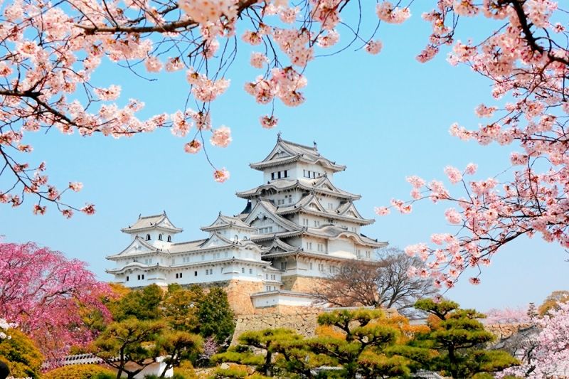 Lâu đài Himeji thơ mộng mùa hoa anh đào