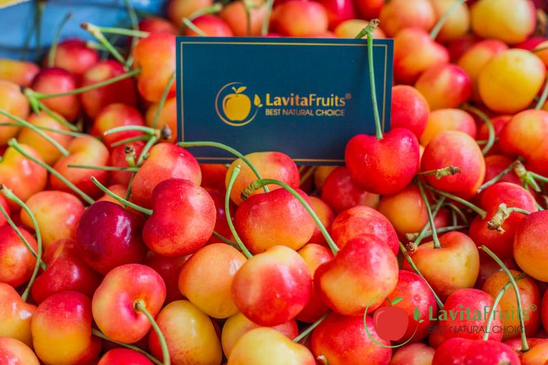 Lavita Fruits - Hoa quả nhập khẩu