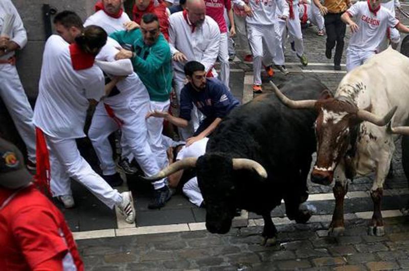 Lễ hội bò đuổi ở Tây Ban Nha